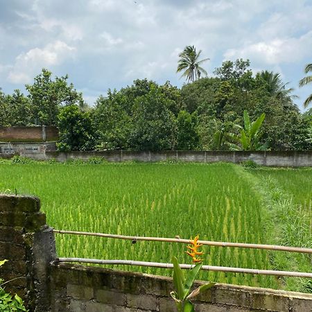 Kembang Kuning Cottages Tetebatu Buitenkant foto