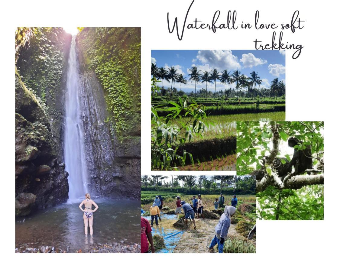 Kembang Kuning Cottages Tetebatu Buitenkant foto