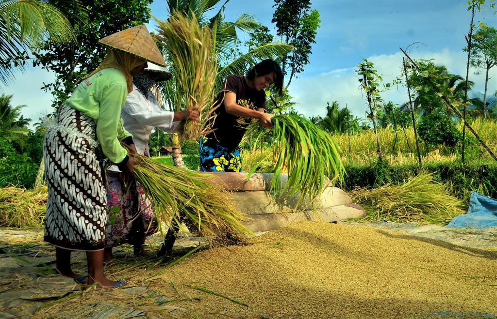 Kembang Kuning Cottages Tetebatu Buitenkant foto