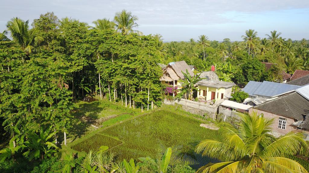 Kembang Kuning Cottages Tetebatu Buitenkant foto
