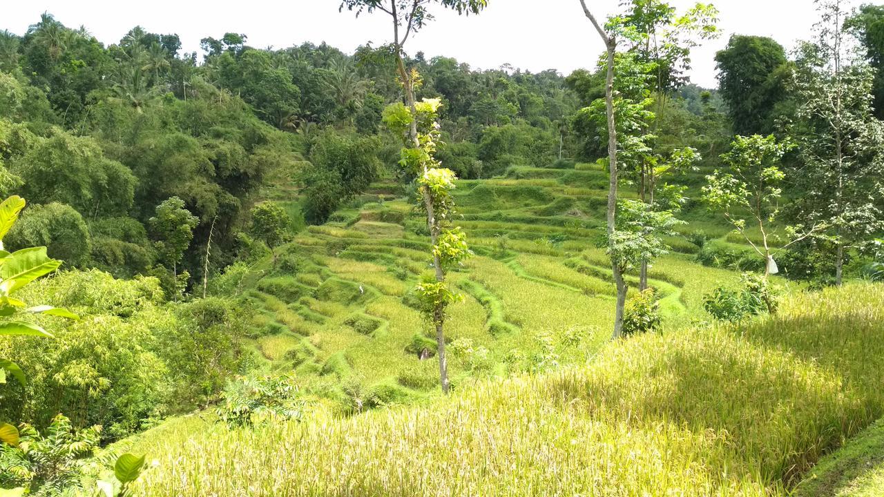 Kembang Kuning Cottages Tetebatu Buitenkant foto
